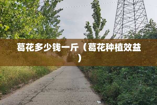 葛花多少钱一斤（葛花种植效益）