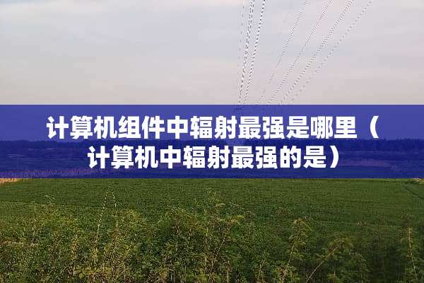 计算机组件中辐射最强是哪里（计算机中辐射最强的是）