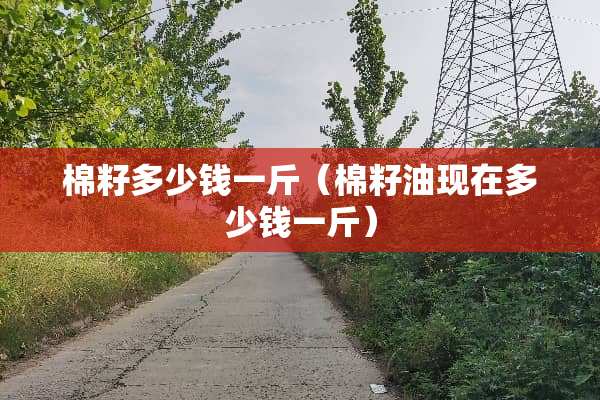 棉籽多少钱一斤（棉籽油现在多少钱一斤）