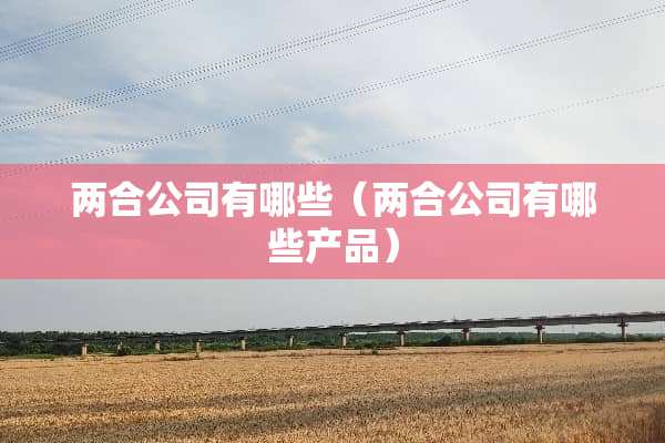两合公司有哪些（两合公司有哪些产品）