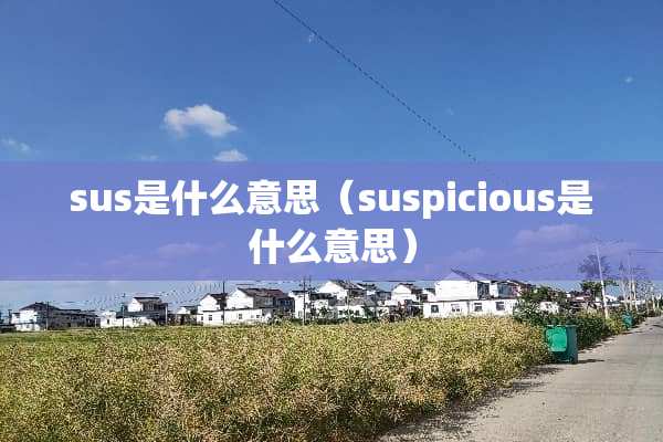 sus是什么意思（suspicious是什么意思）