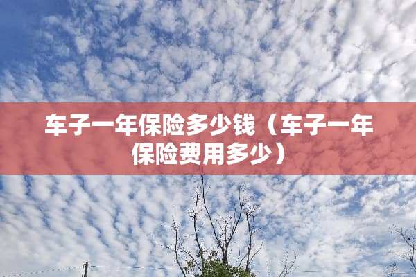 车子一年保险多少钱（车子一年保险费用多少）