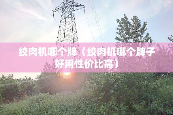 绞肉机哪个牌（绞肉机哪个牌子好用性价比高）