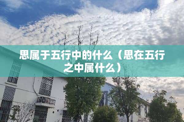 思属于五行中的什么（思在五行之中属什么）