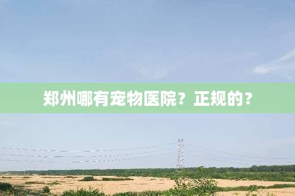 郑州哪有宠物医院？正规的？