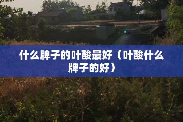 什么牌子的叶酸最好（叶酸什么牌子的好）