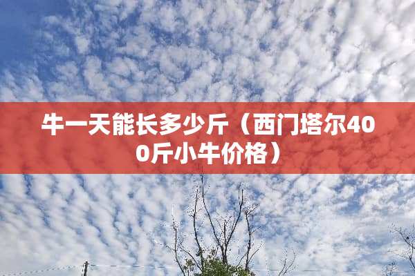 牛一天能长多少斤（西门塔尔400斤小牛价格）