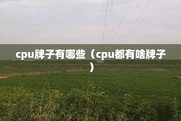 cpu牌子有哪些（cpu都有啥牌子）