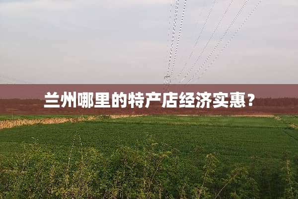 兰州哪里的特产店经济实惠？