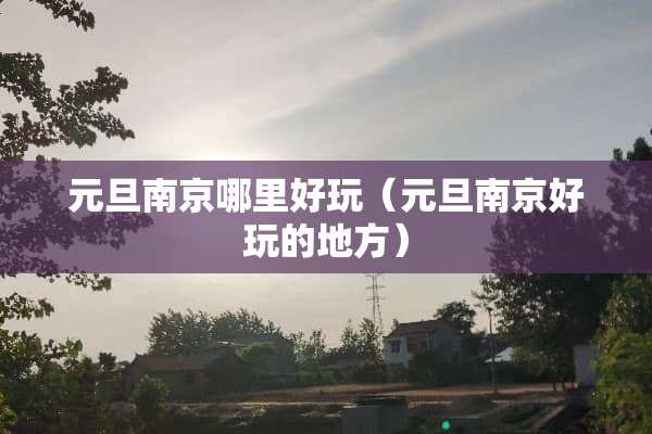 元旦南京哪里好玩（元旦南京好玩的地方）