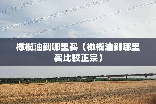 橄榄油到哪里买（橄榄油到哪里买比较正宗）