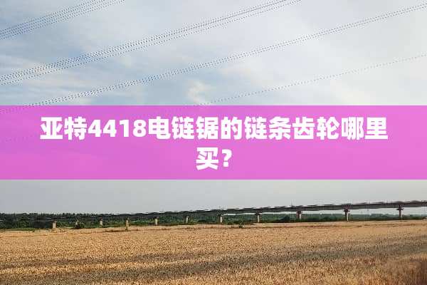 亚特4418电链锯的链条齿轮哪里买？