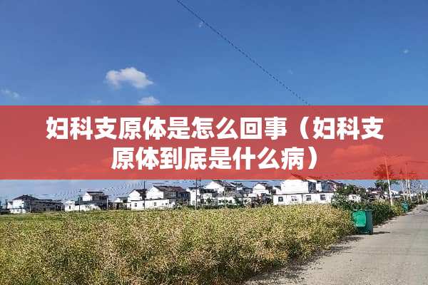 妇科支原体是怎么回事（妇科支原体到底是什么病）