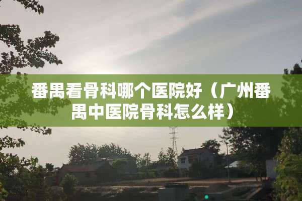 番禺看骨科哪个医院好（广州番禺中医院骨科怎么样）
