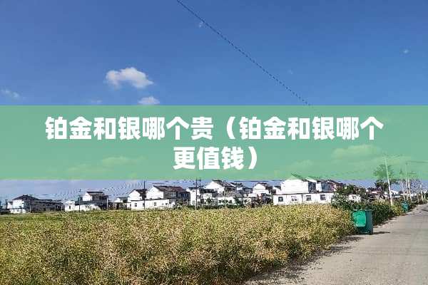 铂金和银哪个贵（铂金和银哪个更值钱）