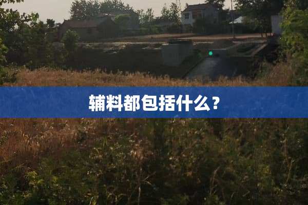 辅料都包括什么？