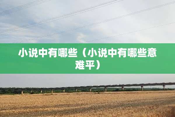 小说中有哪些（小说中有哪些意难平）