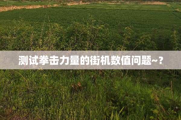 测试拳击力量的街机数值问题~？