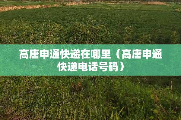 高唐申通快递在哪里（高唐申通快递电话号码）
