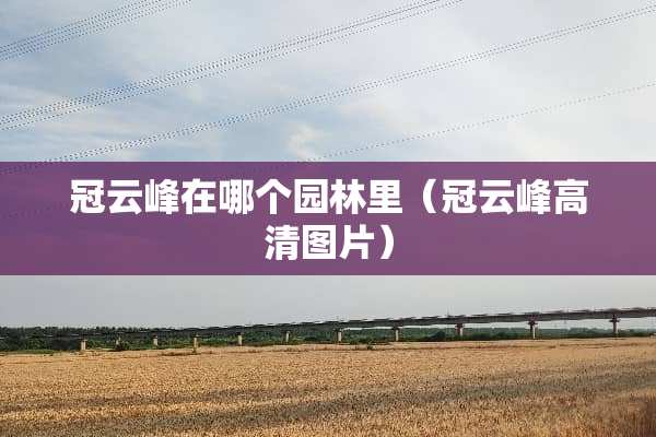 冠云峰在哪个园林里（冠云峰高清图片）