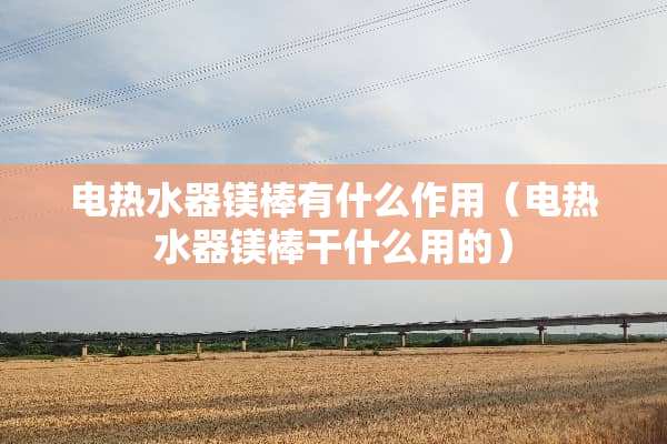 电热水器镁棒有什么作用（电热水器镁棒干什么用的）