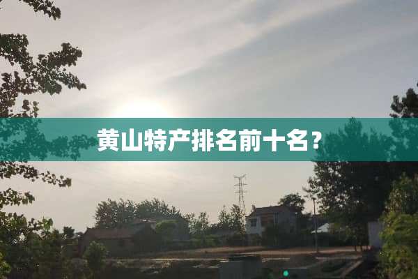 黄山特产排名前十名？