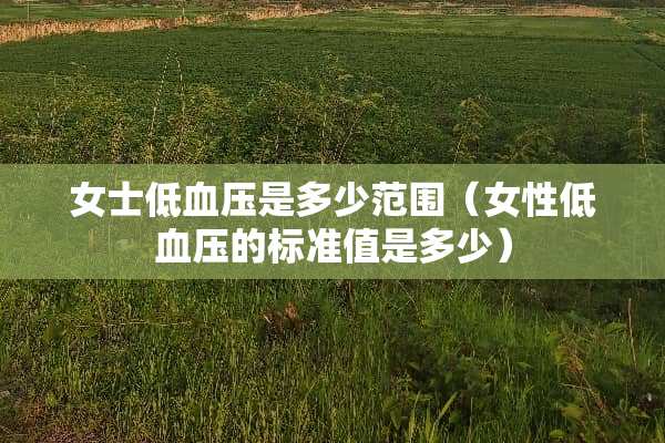 女士低血压是多少范围（女性低血压的标准值是多少）