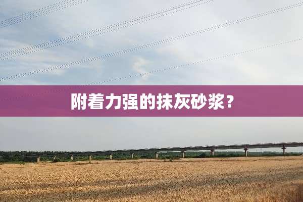 附着力强的抹灰砂浆？