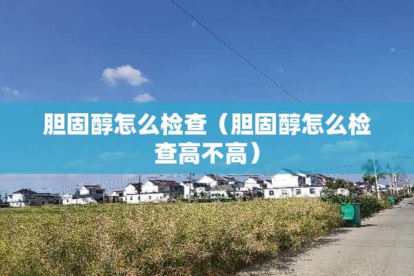 胆固醇怎么检查（胆固醇怎么检查高不高）