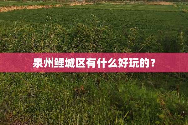 泉州鲤城区有什么好玩的？