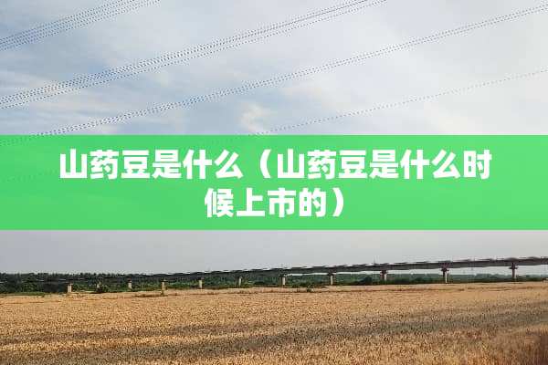 山药豆是什么（山药豆是什么时候上市的）
