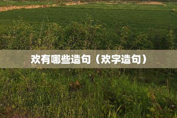 欢有哪些造句（欢字造句）
