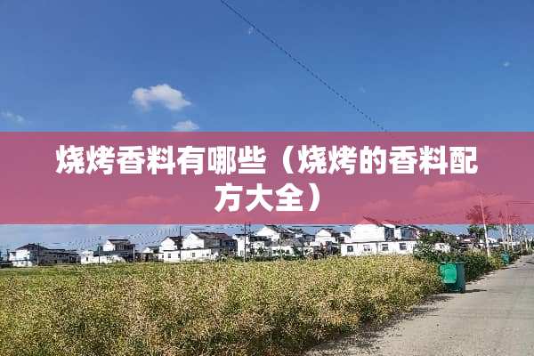 烧烤香料有哪些（烧烤的香料配方大全）