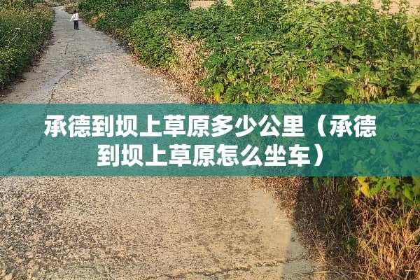 承德到坝上草原多少公里（承德到坝上草原怎么坐车）