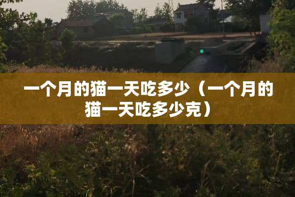 一个月的猫一天吃多少（一个月的猫一天吃多少克）