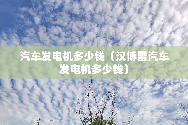 汽车发电机多少钱（汉博雷汽车发电机多少钱）