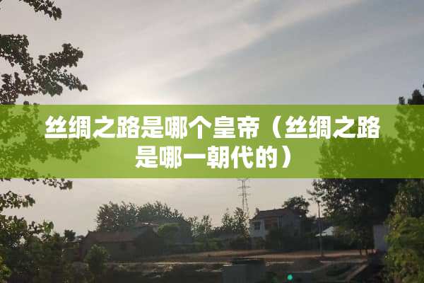 丝绸之路是哪个皇帝（丝绸之路是哪一朝代的）