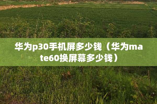 华为p30手机屏多少钱（华为mate60换屏幕多少钱）