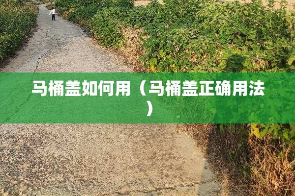 马桶盖如何用（马桶盖正确用法）