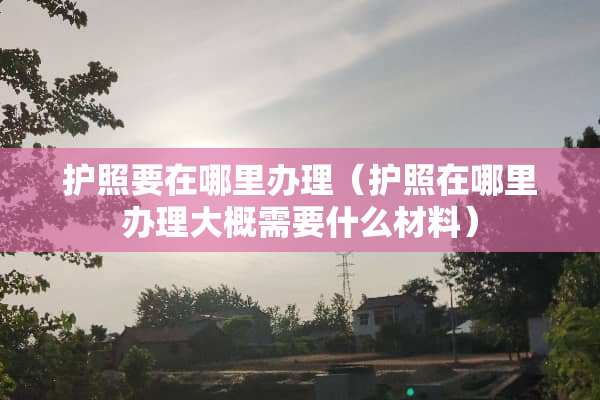 护照要在哪里办理（护照在哪里办理大概需要什么材料）