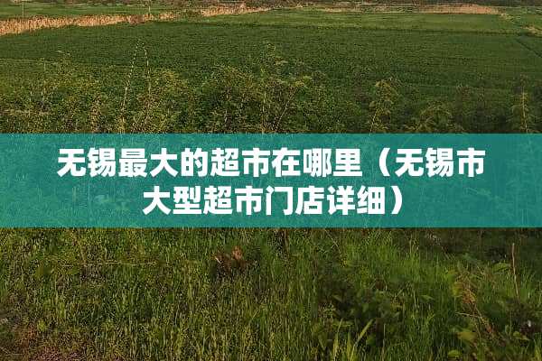 无锡最大的超市在哪里（无锡市大型超市门店详细）