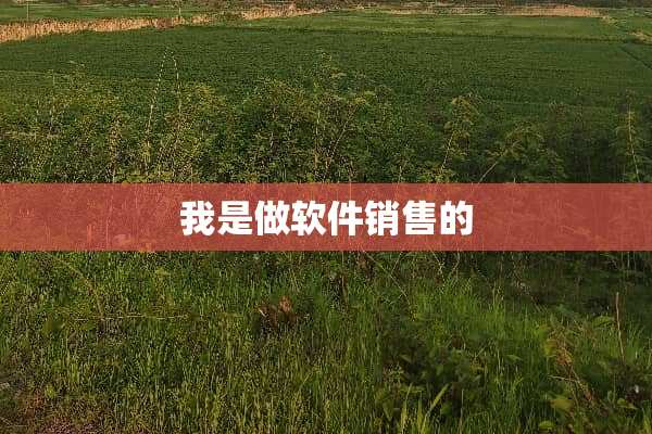 我是做软件销售的