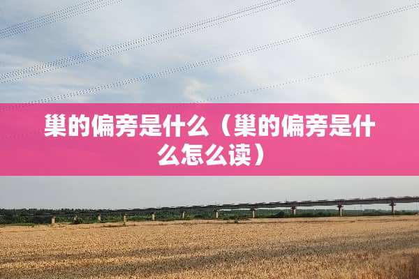 巢的偏旁是什么（巢的偏旁是什么怎么读）