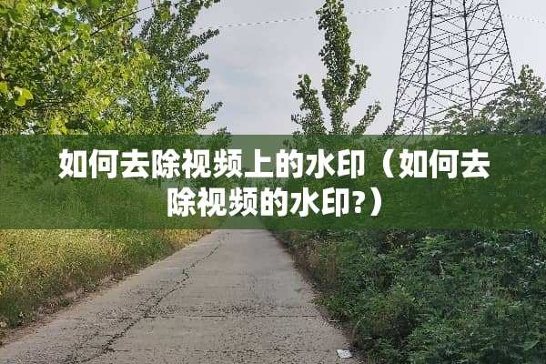 如何去除视频上的水印（如何去除视频的水印?）