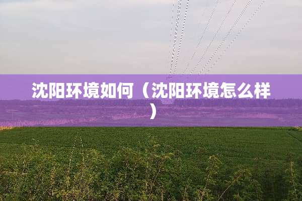 沈阳环境如何（沈阳环境怎么样）