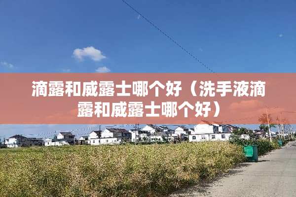 滴露和威露士哪个好（洗手液滴露和威露士哪个好）