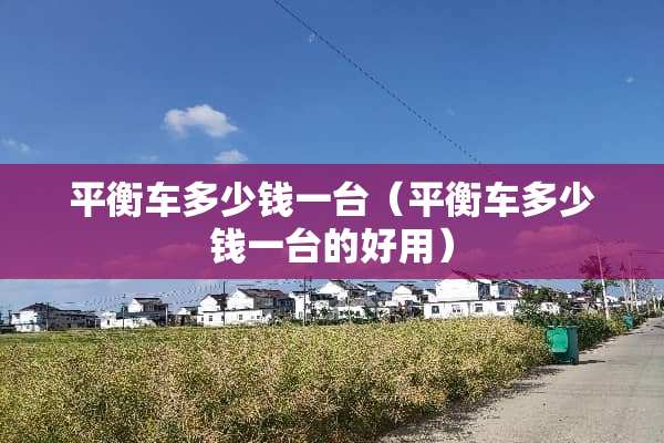 平衡车多少钱一台（平衡车多少钱一台的好用）