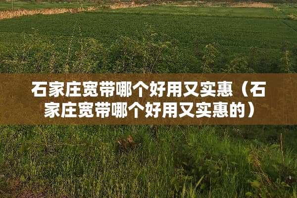 石家庄宽带哪个好用又实惠（石家庄宽带哪个好用又实惠的）