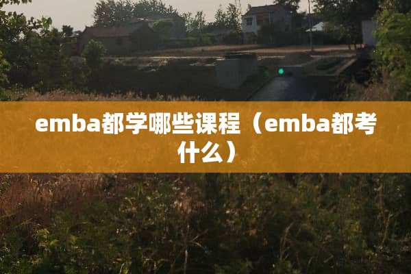 emba都学哪些课程（emba都考什么）