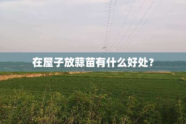 在屋子放蒜苗有什么好处？
